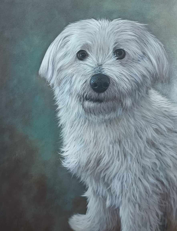Portret van een hond